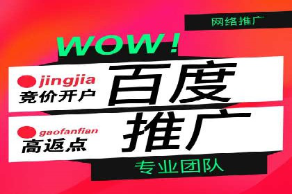 百度推广平台操作指南：案例解读，轻松实现广告目标
